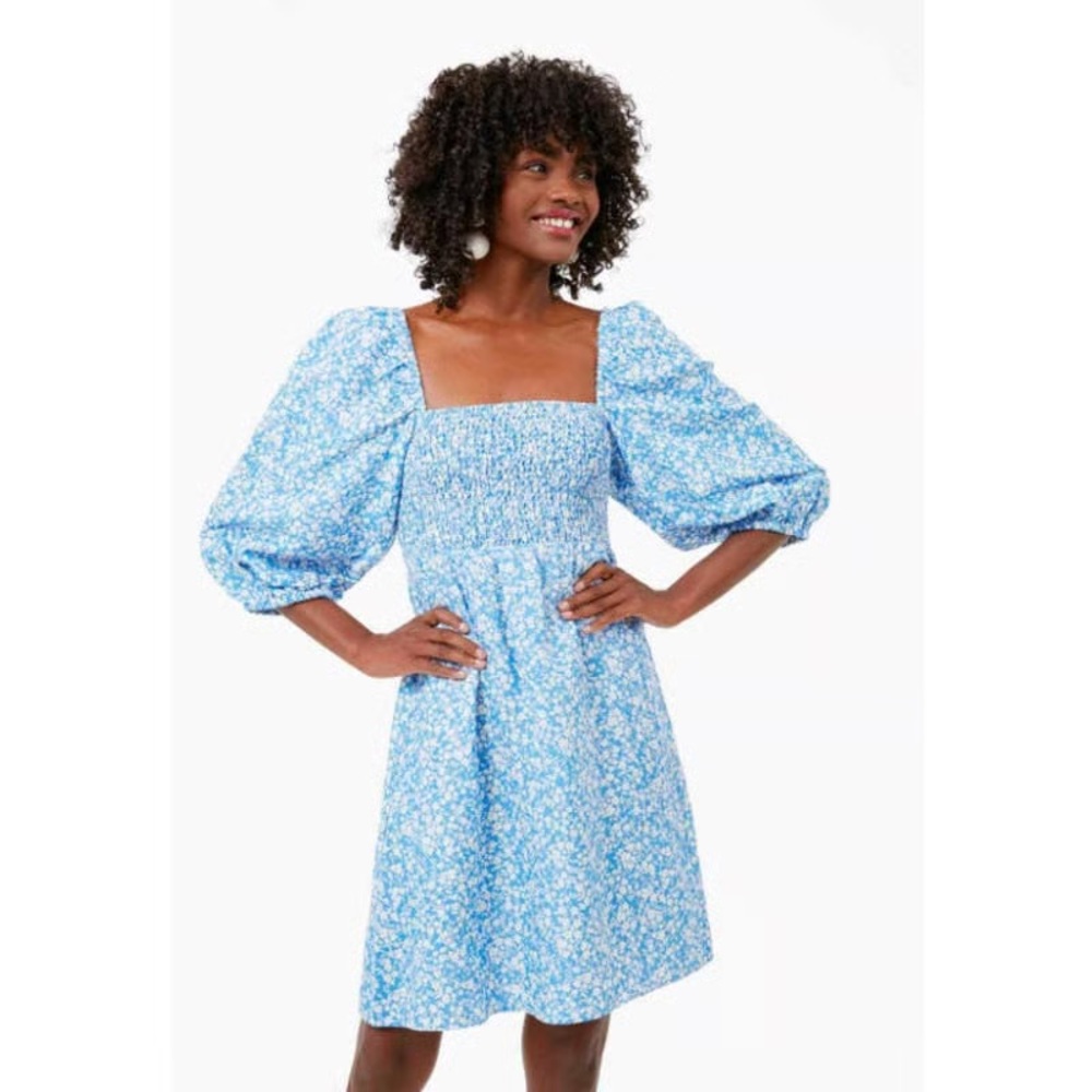 Tuckernuck Blue Puff Sleeve A-Line Dress